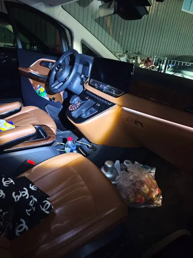 2023 HONGQI HQ9 thumbnail 2