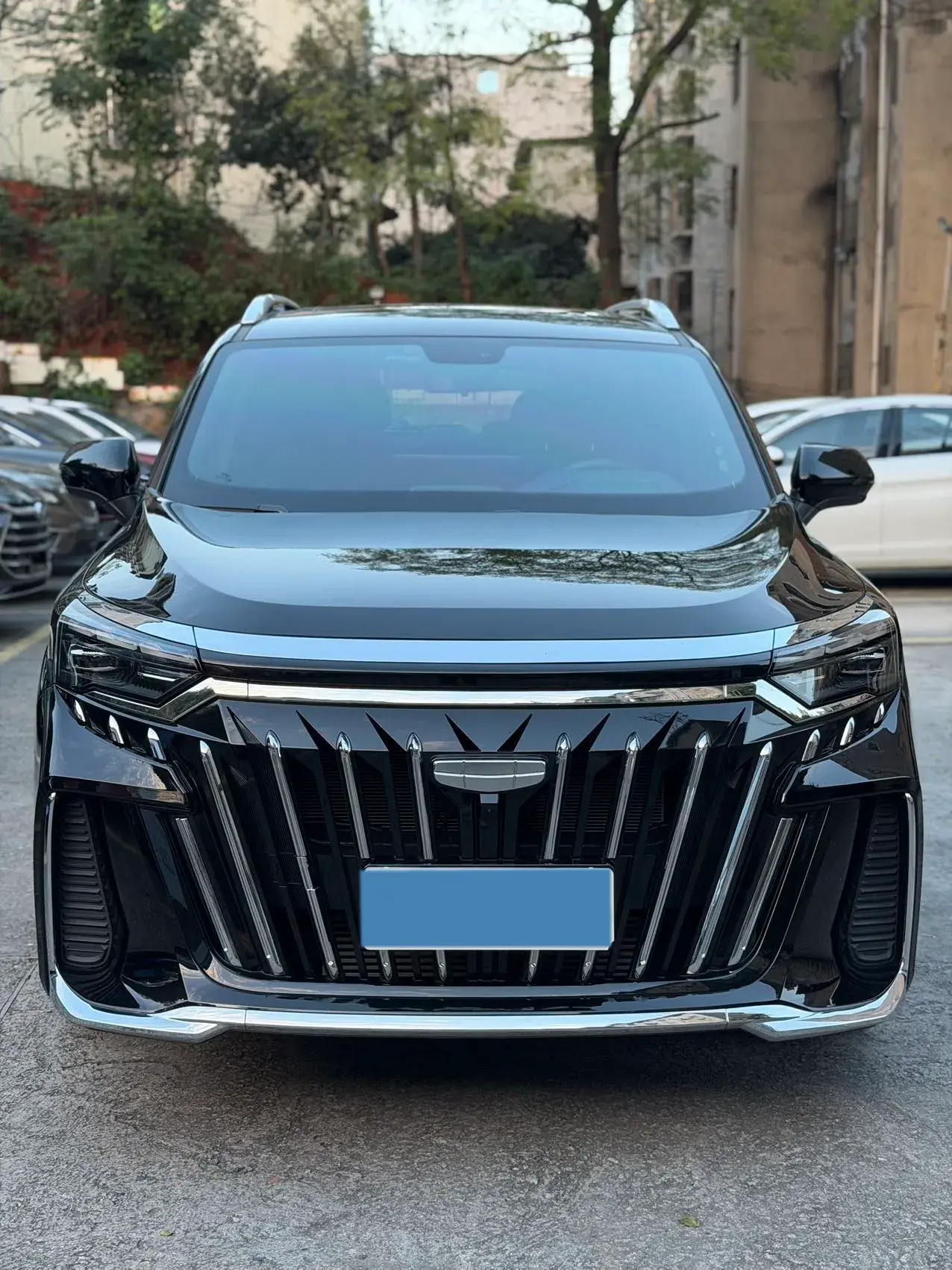 2025 GEELY MONJARO thumbnail 2