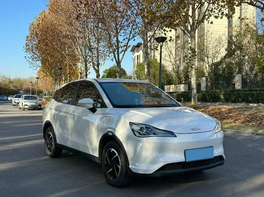 2021 NETA V thumbnail 3