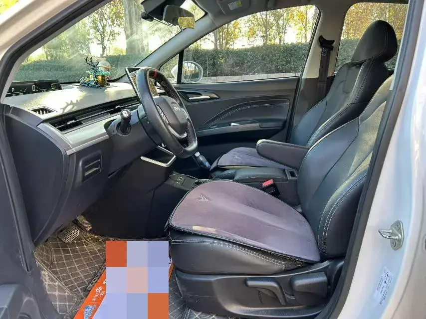 2021 NETA V thumbnail 4