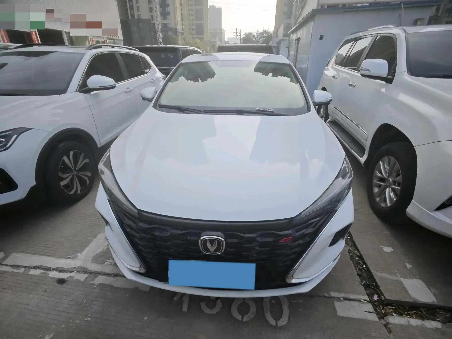 2021 CHANGAN EADO thumbnail 2