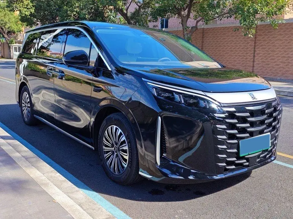 2025 BYD XIA thumbnail 3