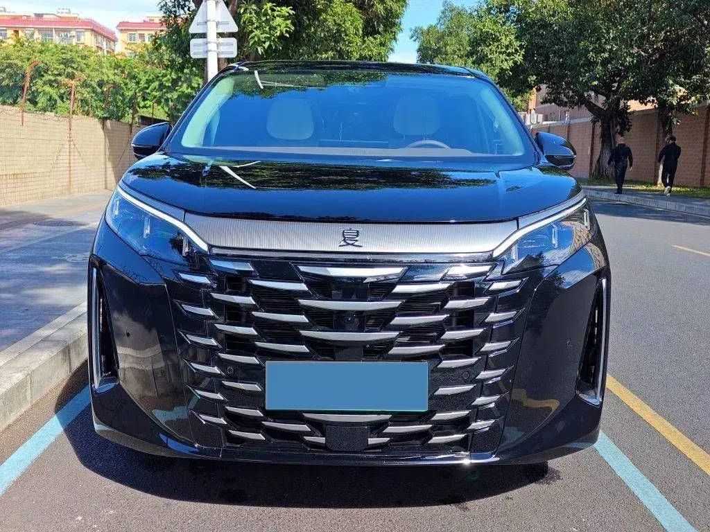 2025 BYD XIA thumbnail 2