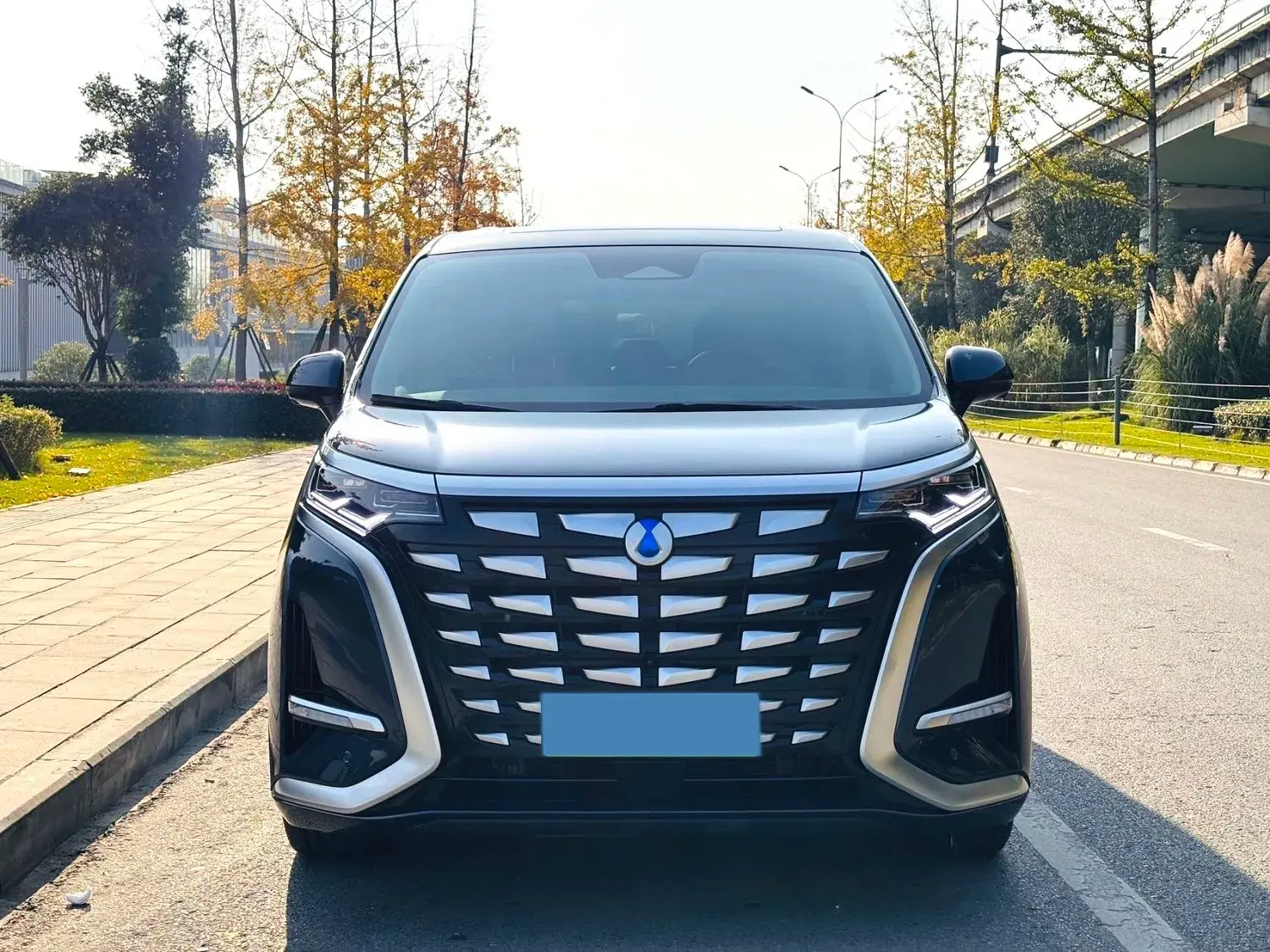 2022 DENZA D9 thumbnail 2