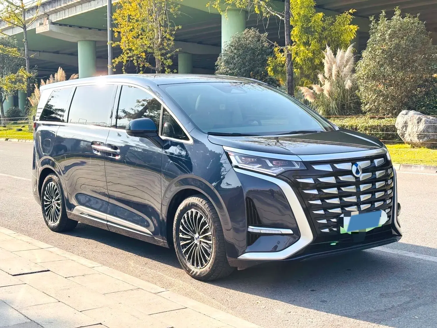 2022 DENZA D9 thumbnail 3