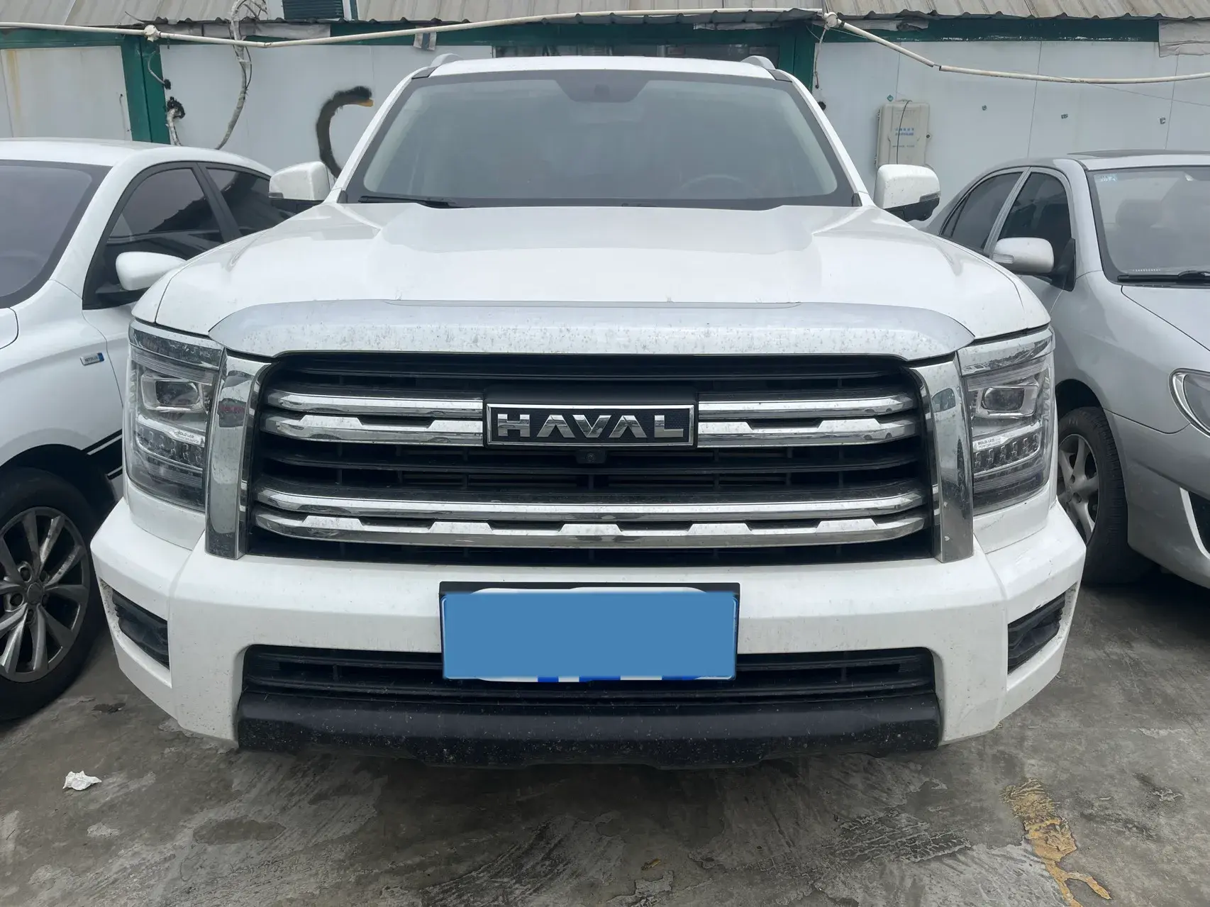 2023 HAVAL H5 thumbnail 2