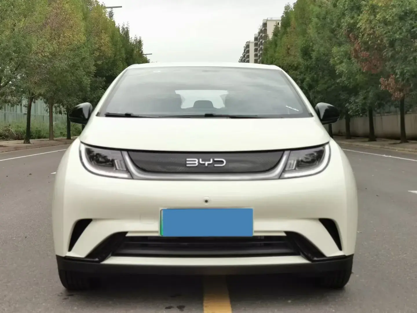 2025 BYD DOLPHIN thumbnail 2