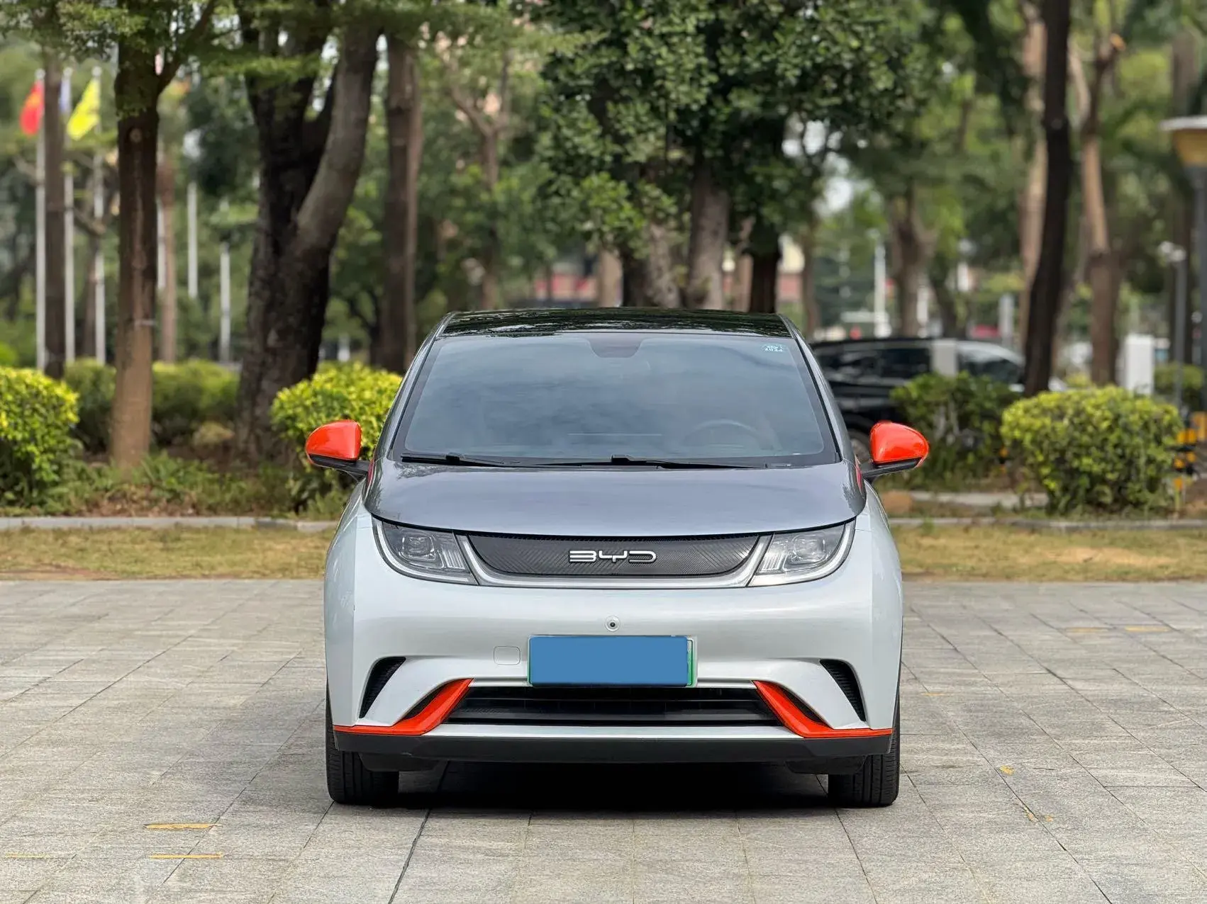 2021 BYD DOLPHIN thumbnail 2