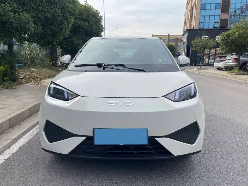 2025 BYD SEAGULL thumbnail 2