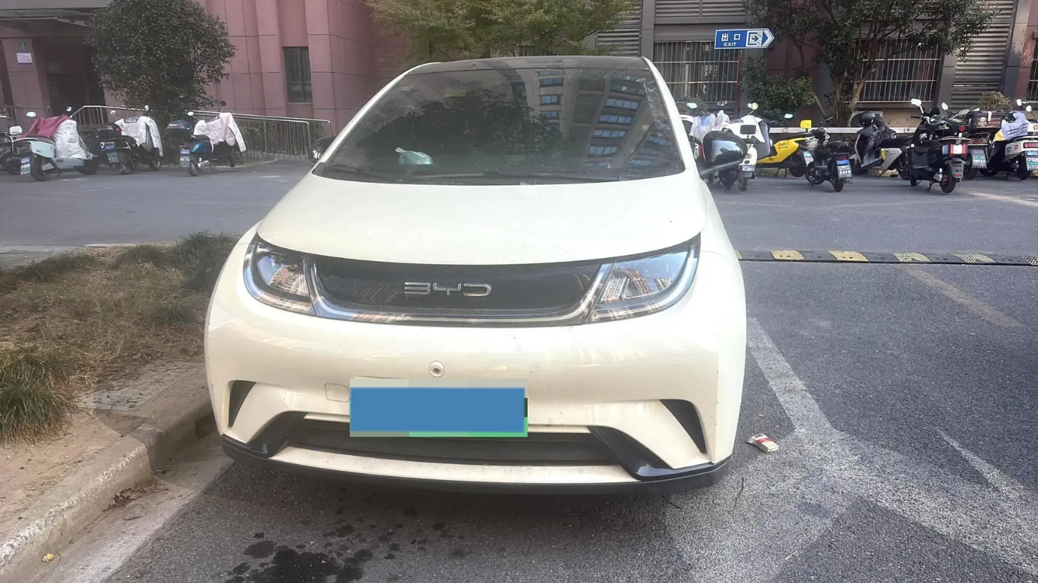 2021 BYD DOLPHIN thumbnail 2