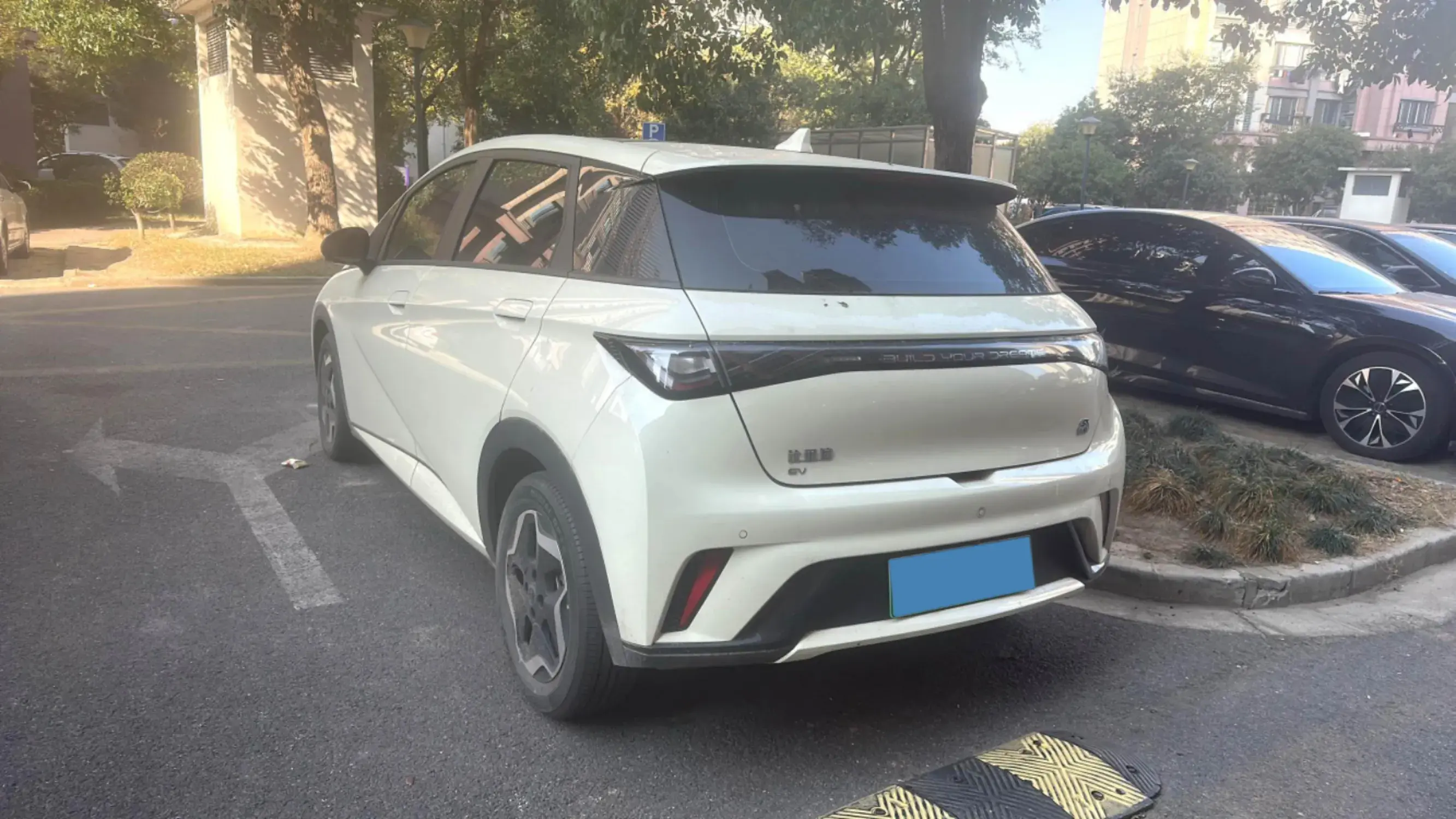 2021 BYD DOLPHIN thumbnail 3