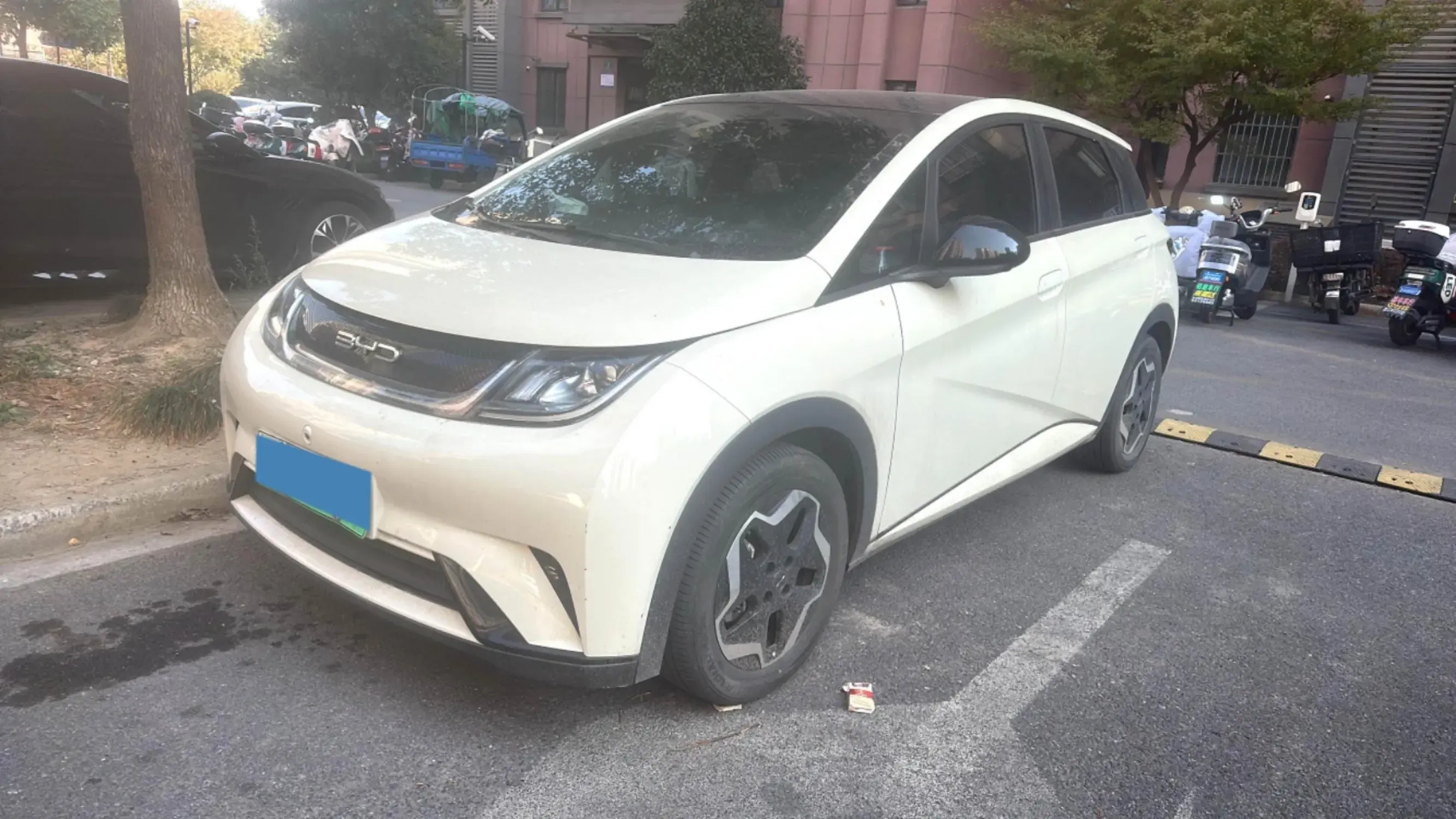 2021 BYD DOLPHIN view 1