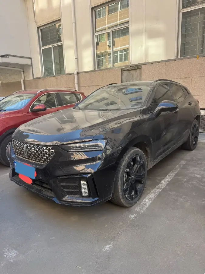 2019 WEY VV7 2.0T 227HP L4 7DCT