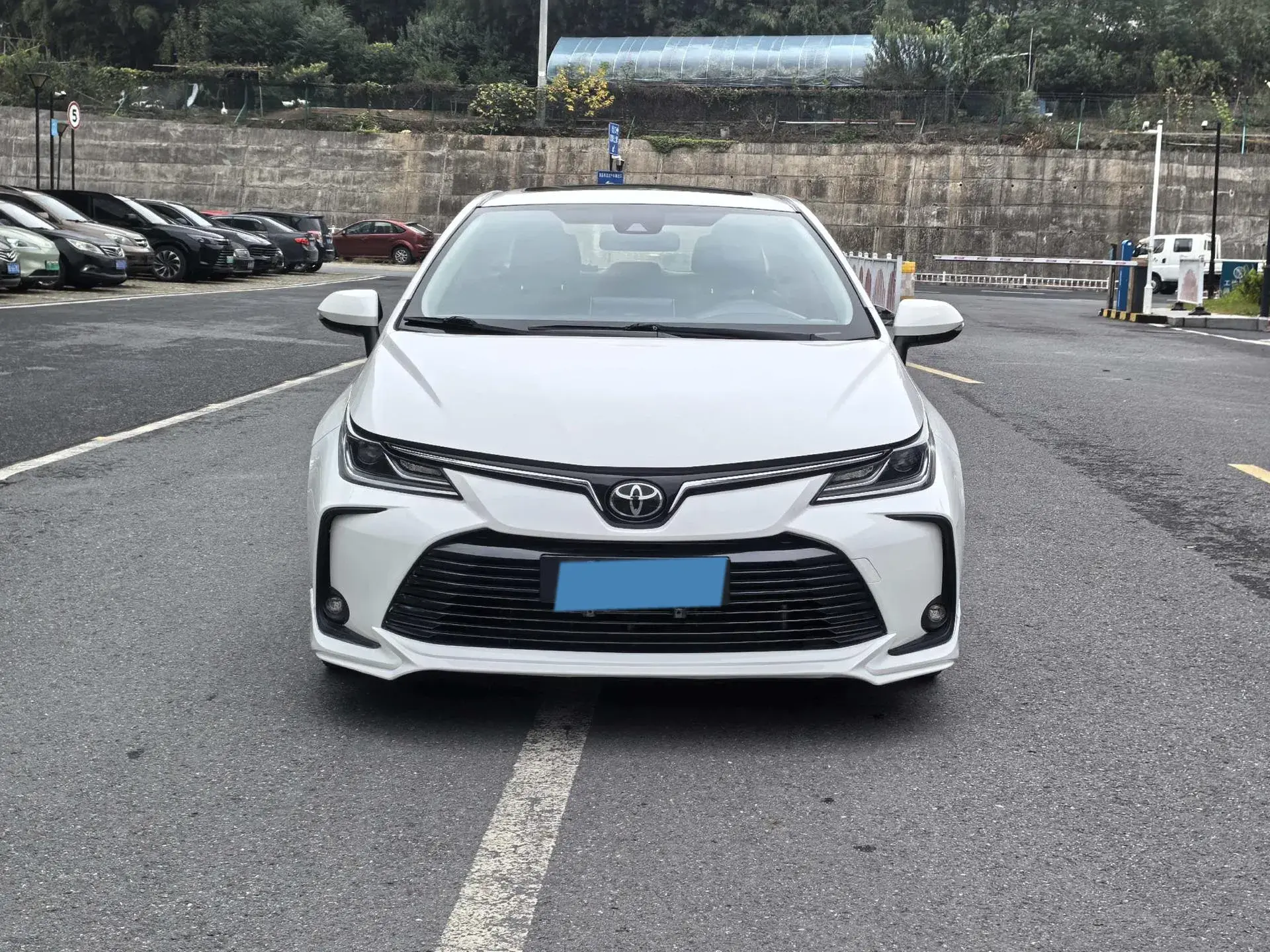 2019 TOYOTA COROLLA thumbnail 2