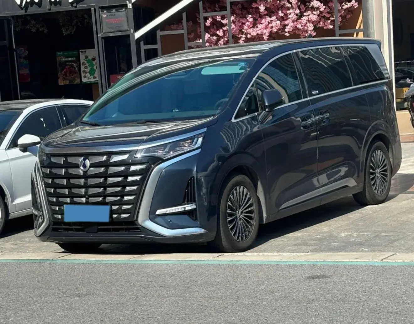 2022 DENZA D9 view 1