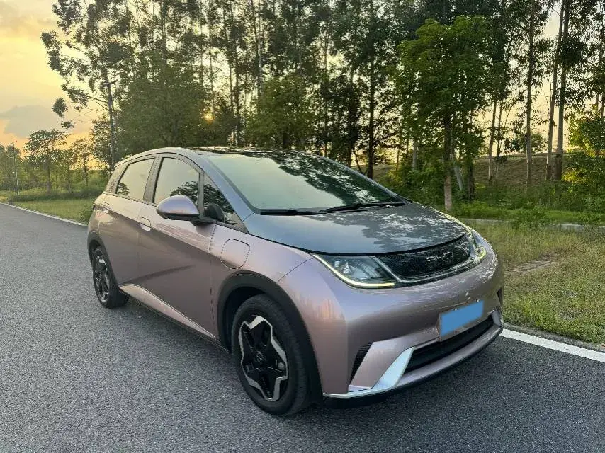 2021 BYD DOLPHIN thumbnail 3