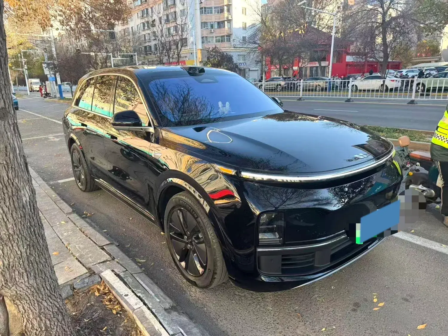 2024 LI L8 thumbnail 3