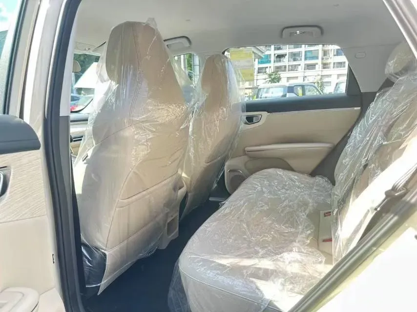 2025 WuLing BinGuo S BEV,autocango,china used car exporter,china ev exporter,chinese used car exporter,chinese used ev exporter