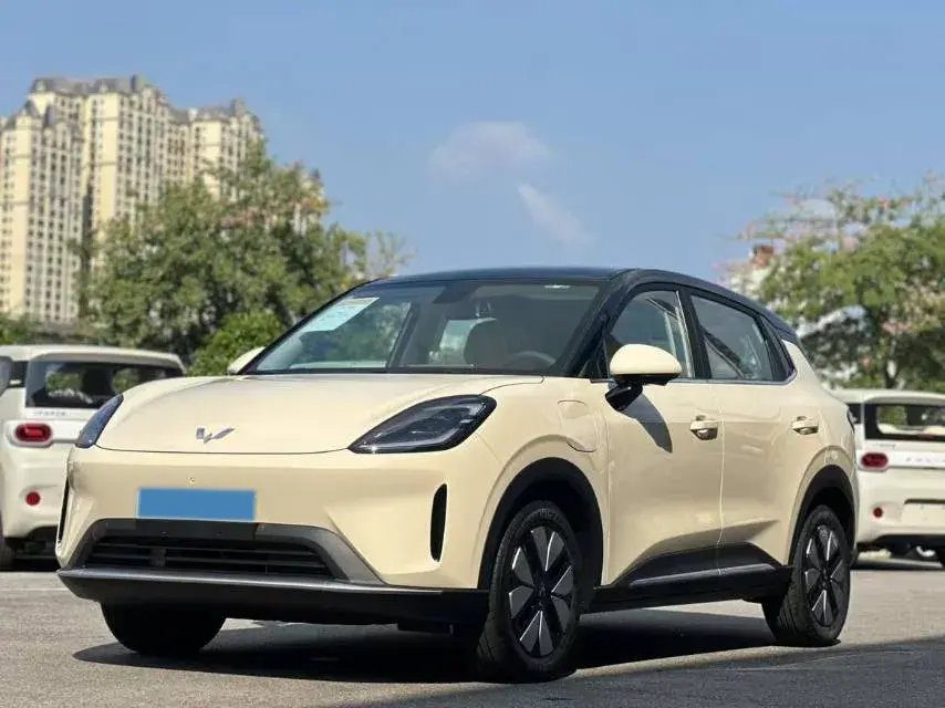 2025 WuLing BinGuo S BEV