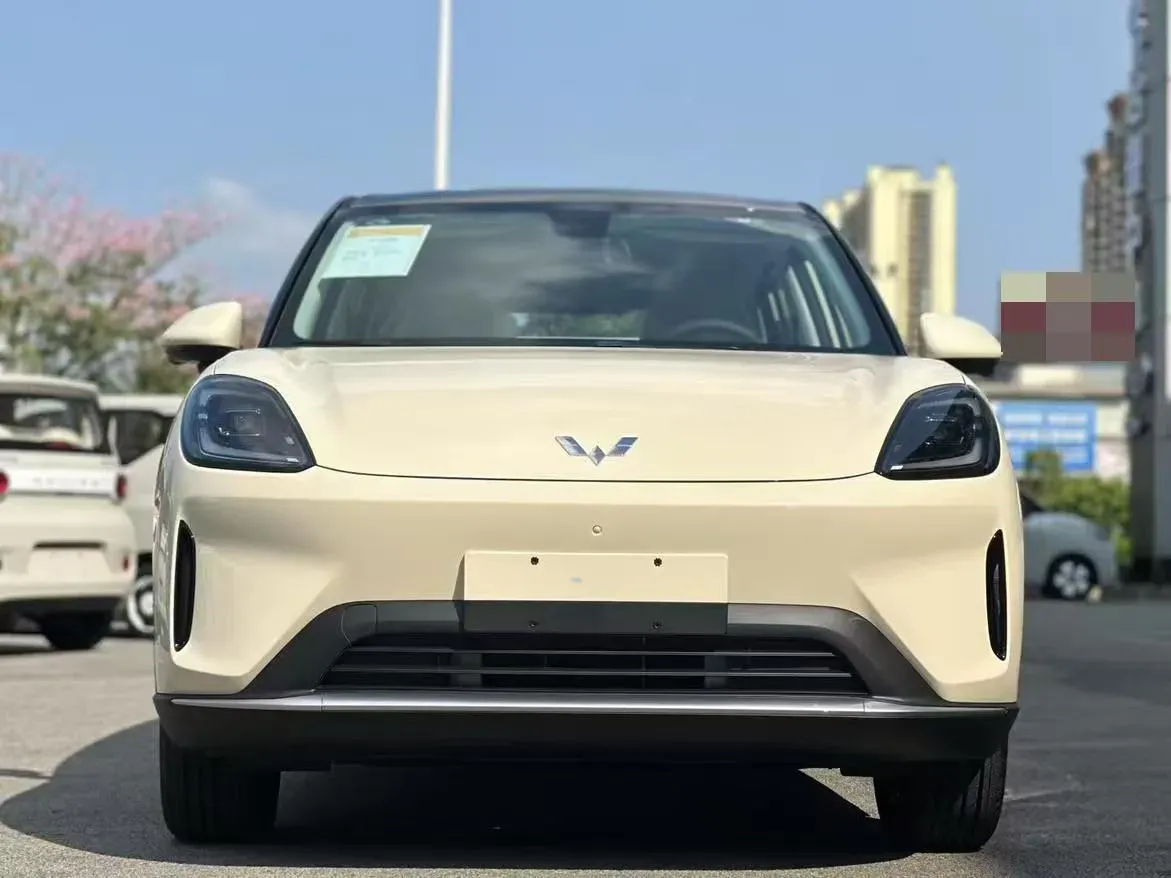 2025 WuLing BinGuo S BEV,autocango,china used car exporter,china ev exporter,chinese used car exporter,chinese used ev exporter