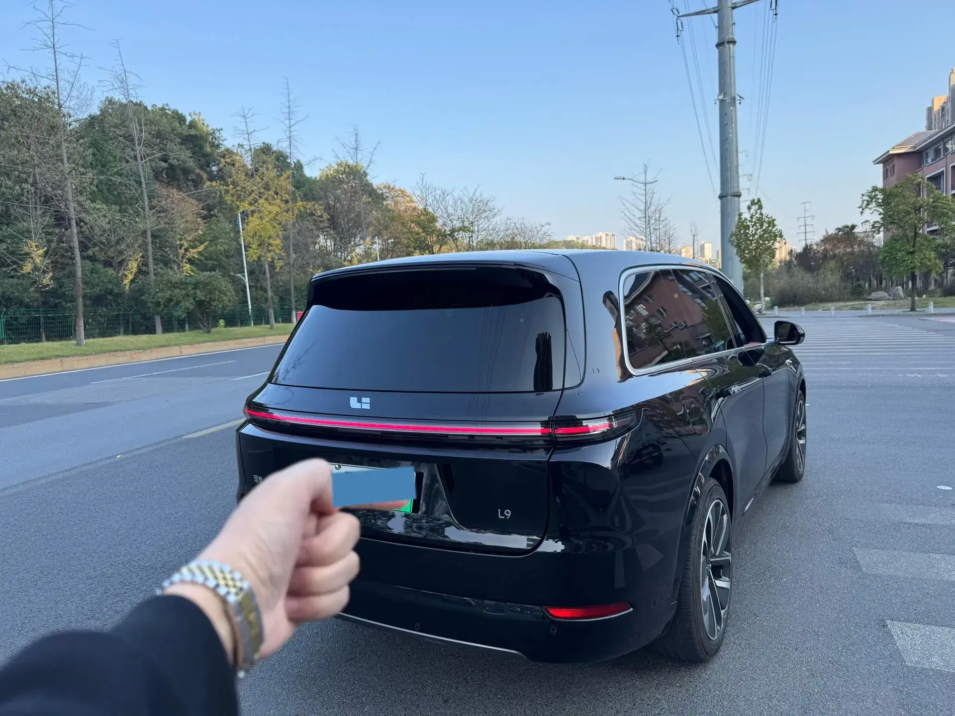 2024 LI L9 thumbnail 3