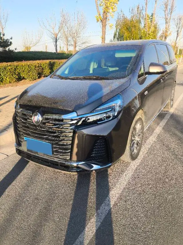 2023 BUICK GL8 view 1