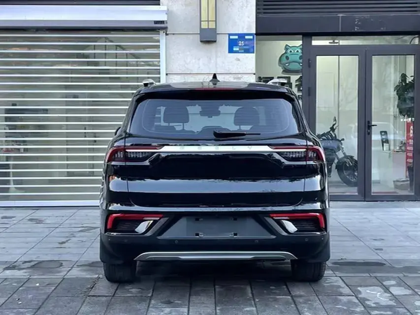 2020 GEELY OKAVANGO thumbnail 4