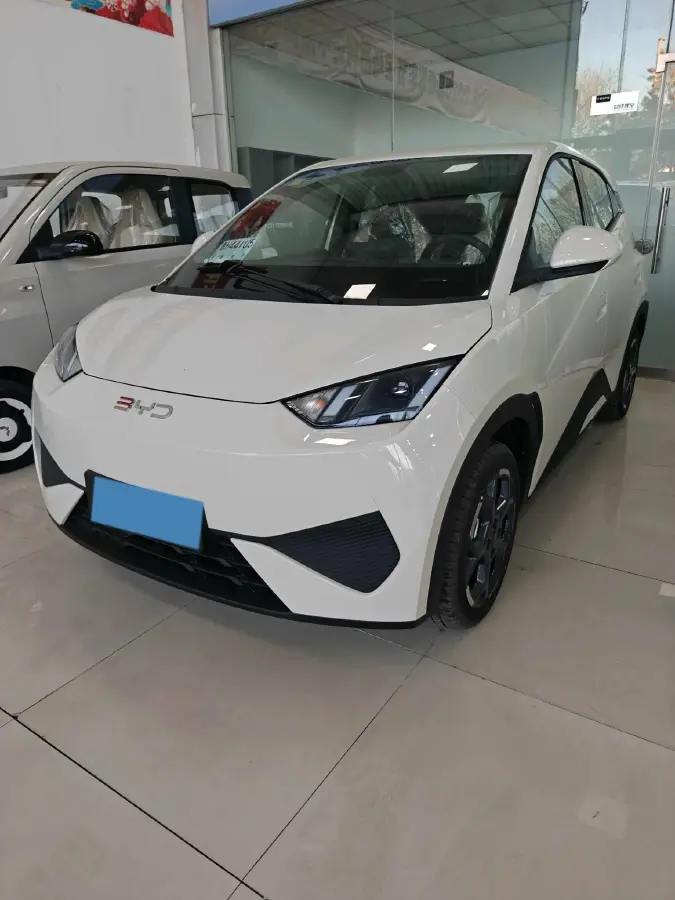 2025 BYD Seagull BEV
