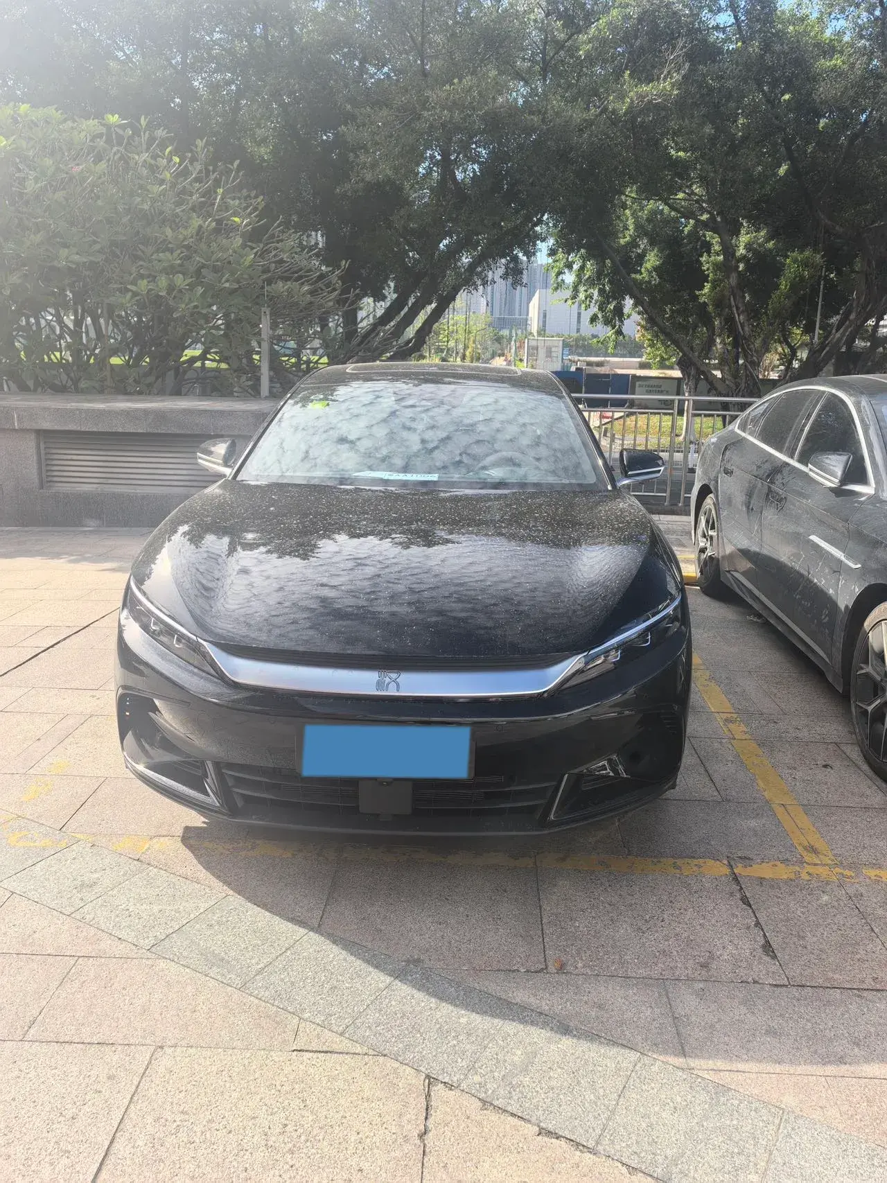 2025 BYD HAN thumbnail 2