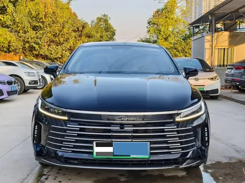 2024 BYD DESTROYER thumbnail 2