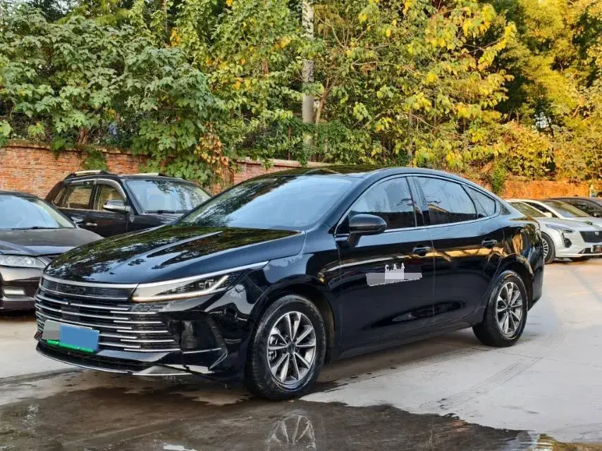 2024 BYD DESTROYER view 1