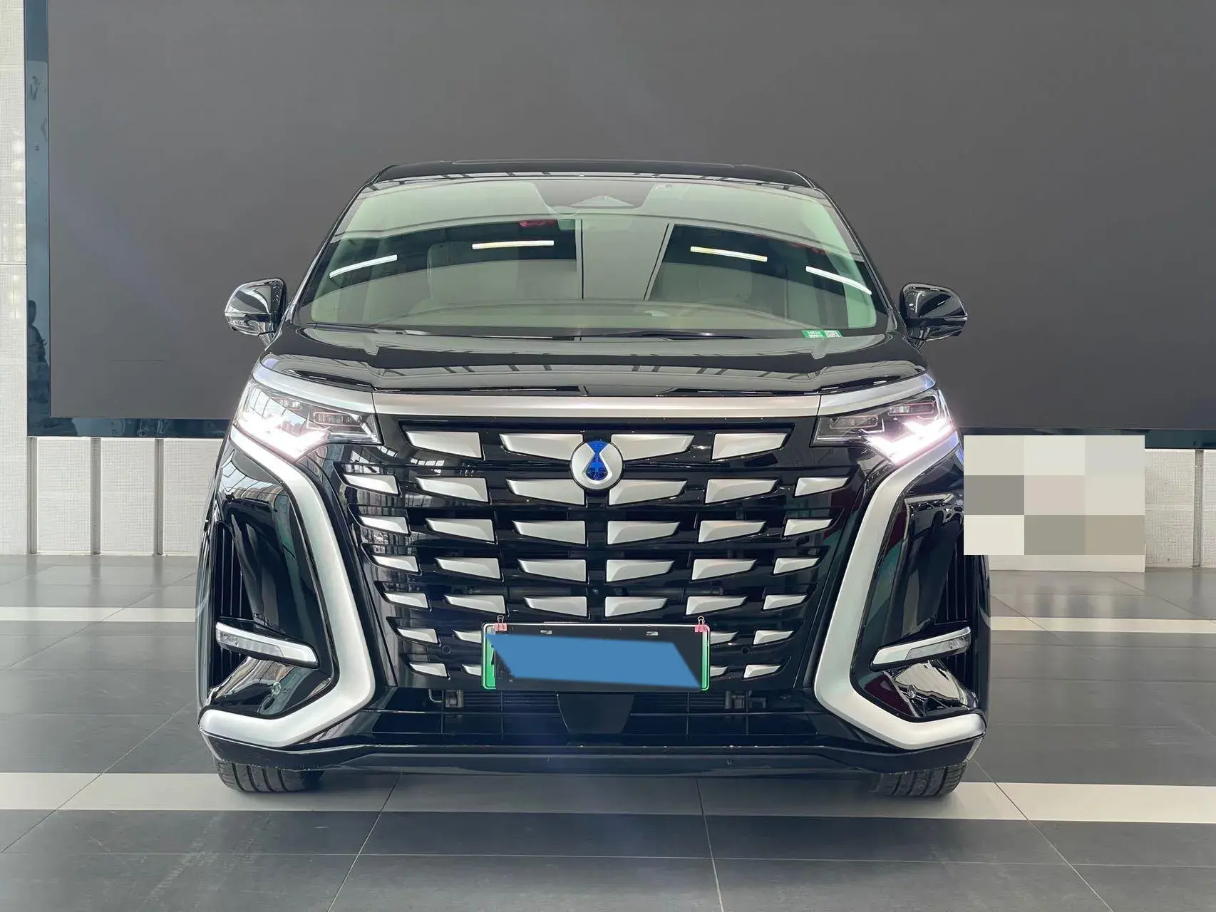 2022 DENZA D9 thumbnail 2