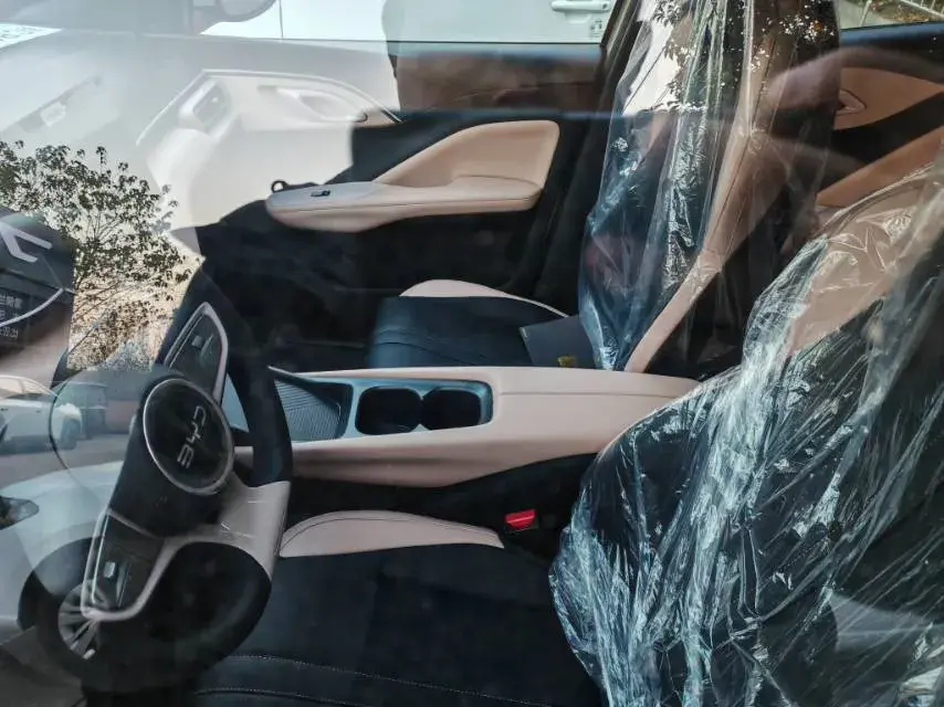 2025 BYD SEAGULL thumbnail 2