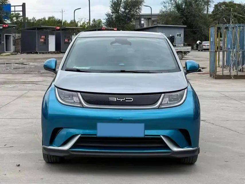 2021 BYD DOLPHIN thumbnail 2