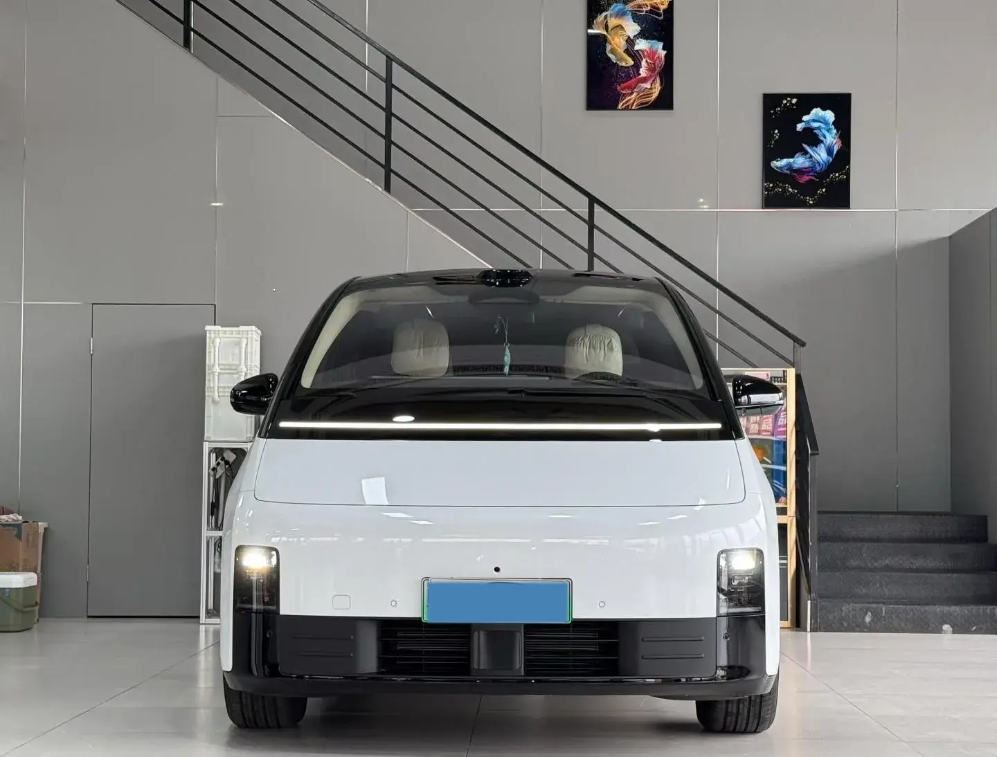 2025 LI MEGA thumbnail 2