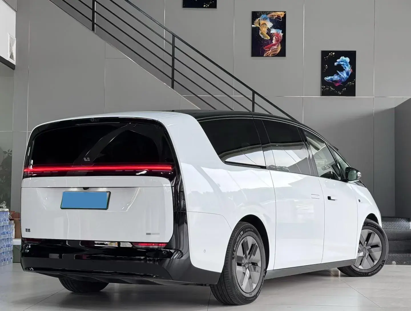 2025 LI MEGA thumbnail 3