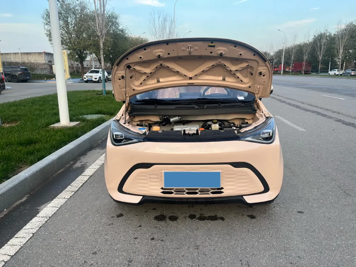 2025 Chery Duomi BEV,autocango,china used car exporter,china ev exporter,chinese used car exporter,chinese used ev exporter