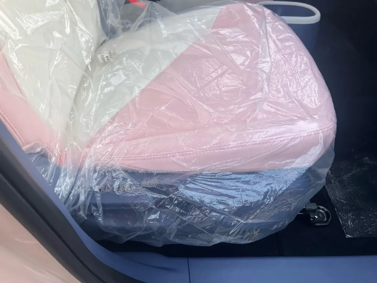 2025 Chery Duomi BEV,autocango,china used car exporter,china ev exporter,chinese used car exporter,chinese used ev exporter