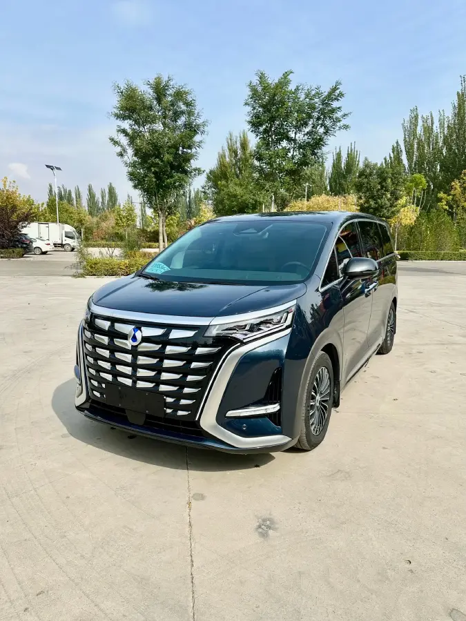 2022 Denza D9 1.5T 139HP L4 E-CVT PHEV 40.06KWH
