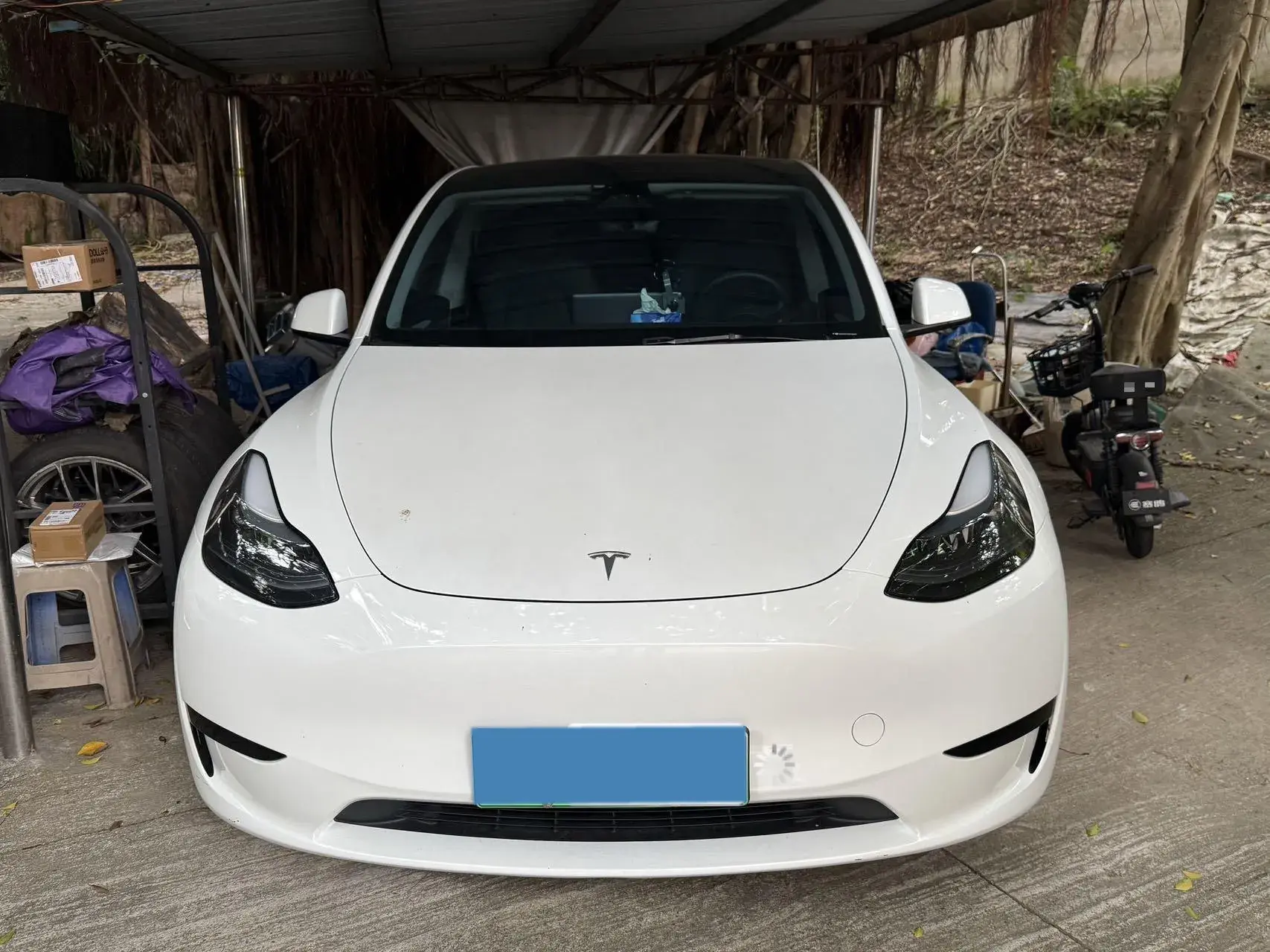 2024 TESLA MODEL thumbnail 2