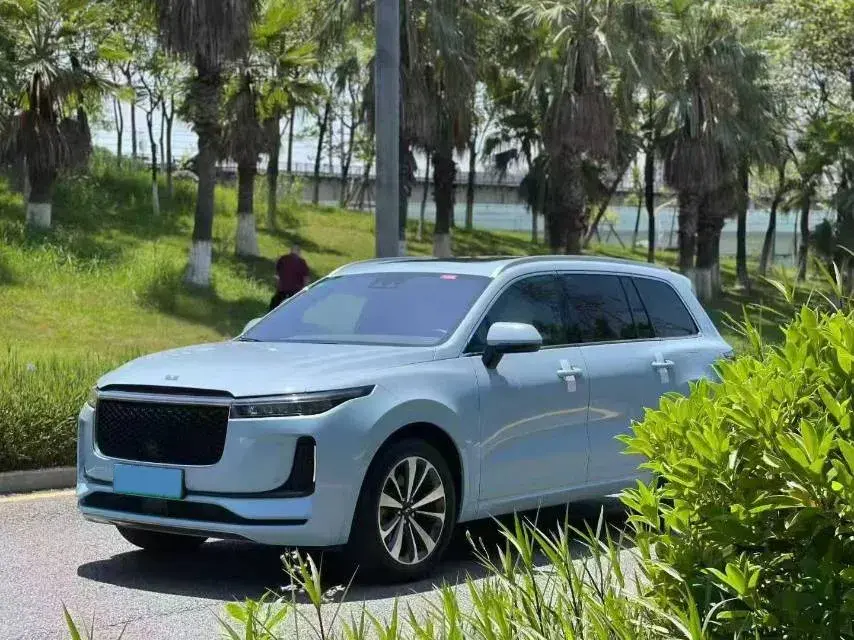 2020 LI ONE thumbnail 2