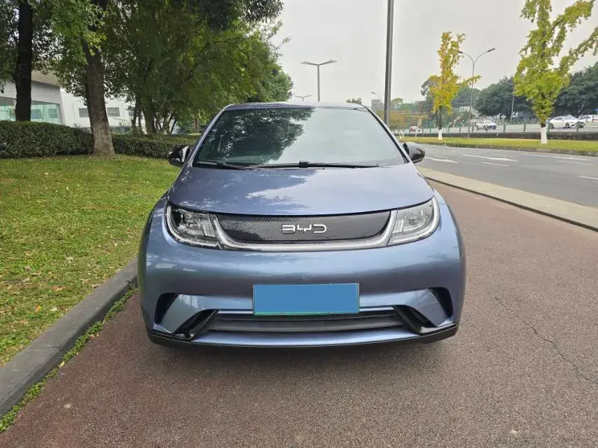 2025 BYD DOLPHIN thumbnail 2