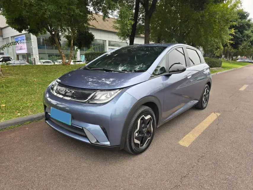 2025 BYD DOLPHIN view 1