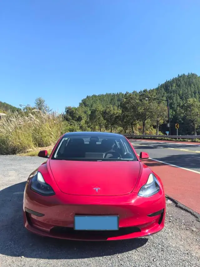 2021 TESLA MODEL thumbnail 2