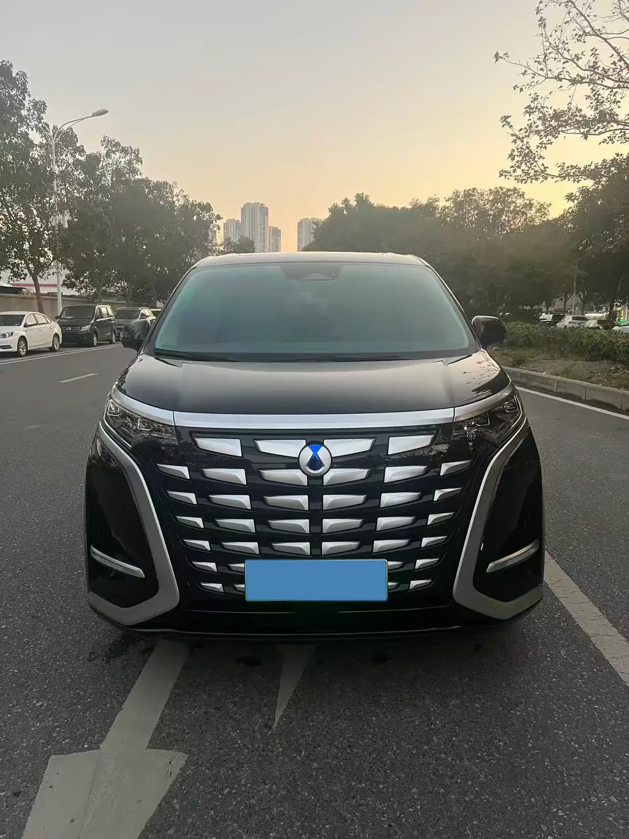 2022 DENZA D9 thumbnail 3