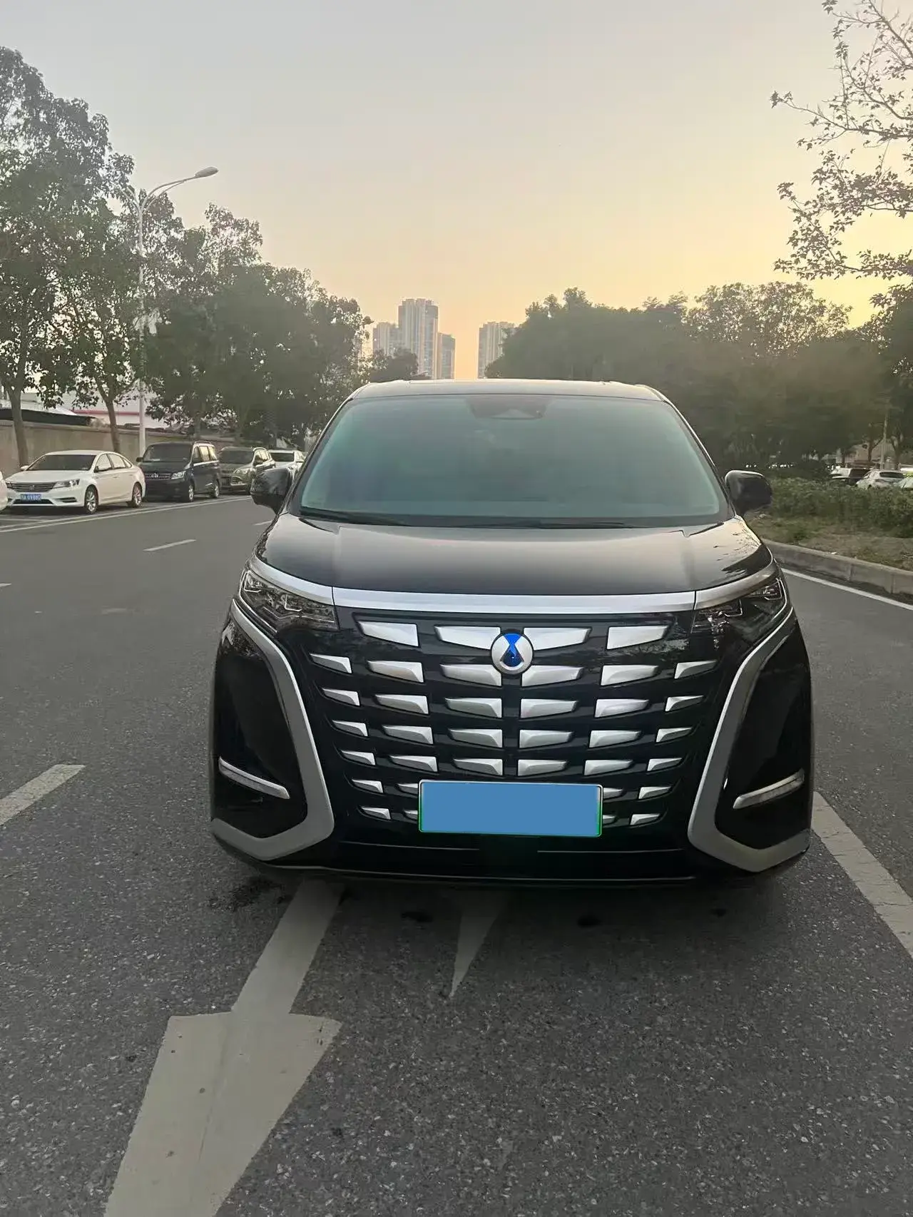 2022 DENZA D9 thumbnail 2