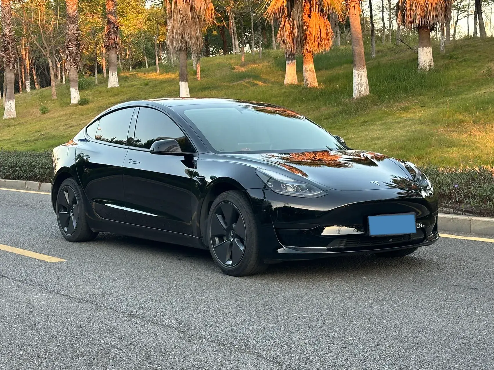 2022 TESLA MODEL thumbnail 2