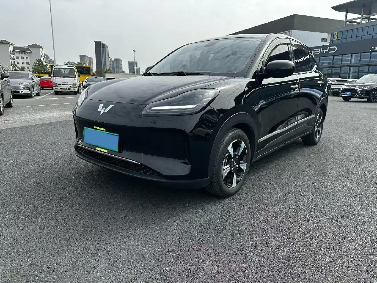 2024 WuLing BinGuoPLUS BEV 50.6KWH