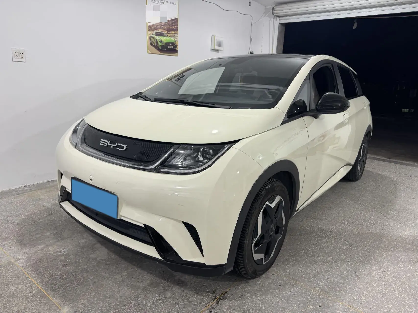 2021 BYD DOLPHIN view 1