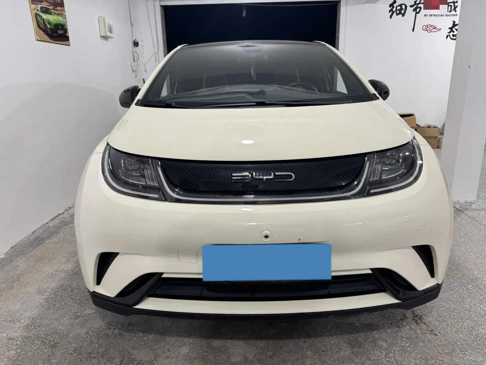 2021 BYD DOLPHIN thumbnail 2